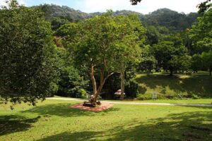 penang botanic garden